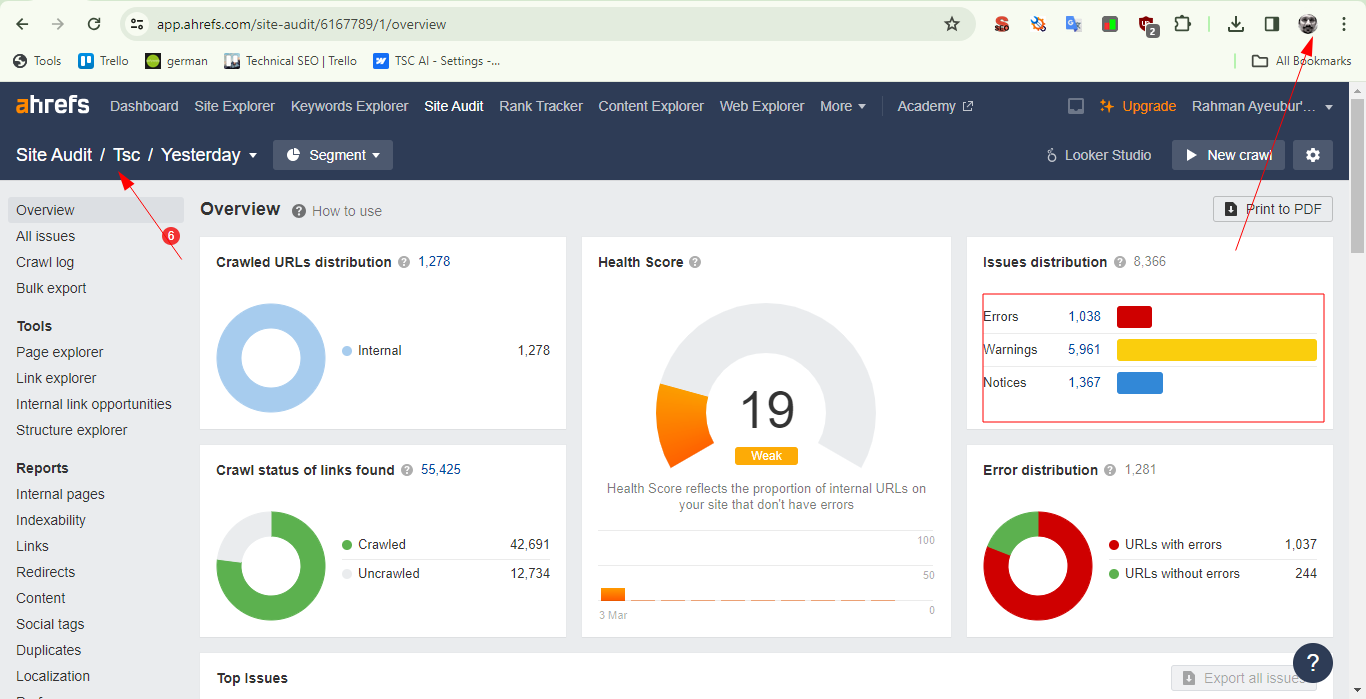 Multilanguagal website Technical SEO 1 2024 03 04 20 55